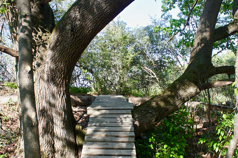 Merrell Mountain Biking Trails